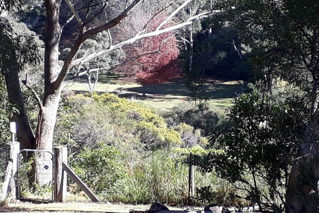 Katoomba Falls Cottage Exterior photo